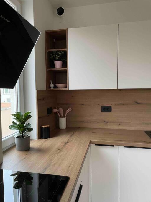 Ferienwohnung Mely Rose Laibach Exterior foto
